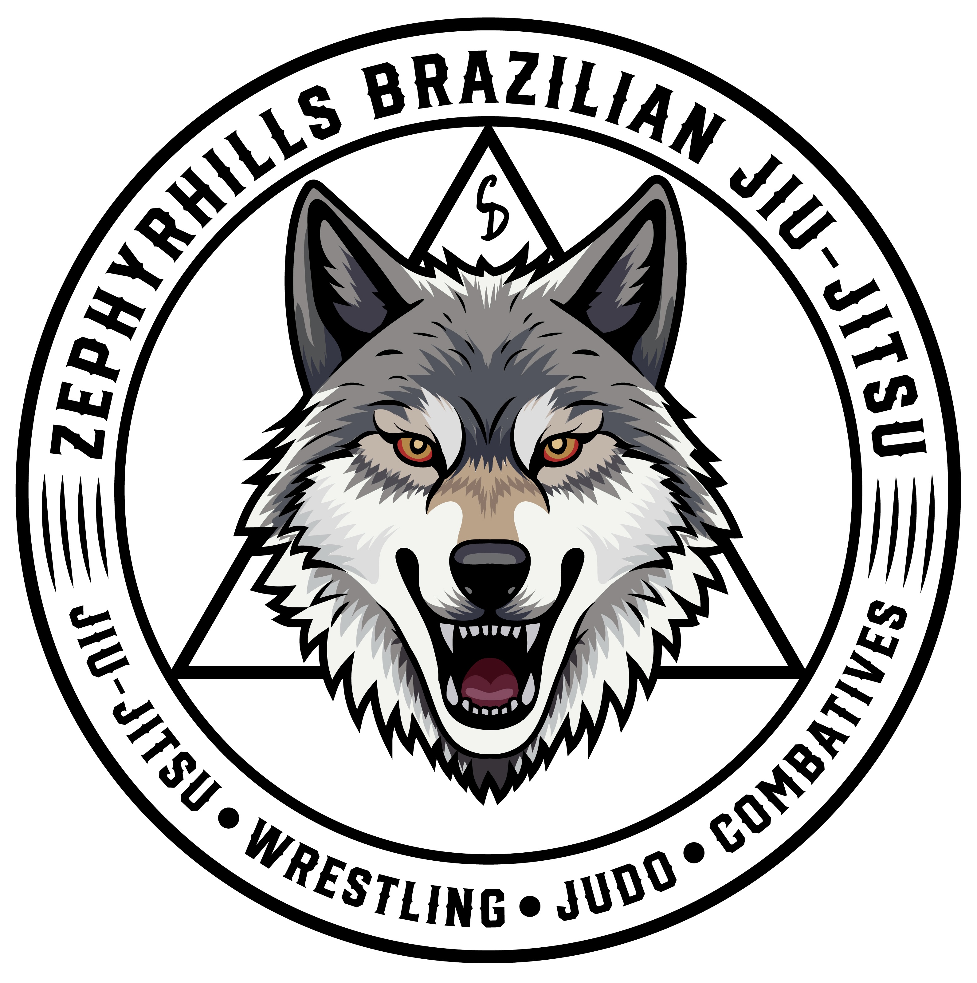 Zephyrhills BJJ